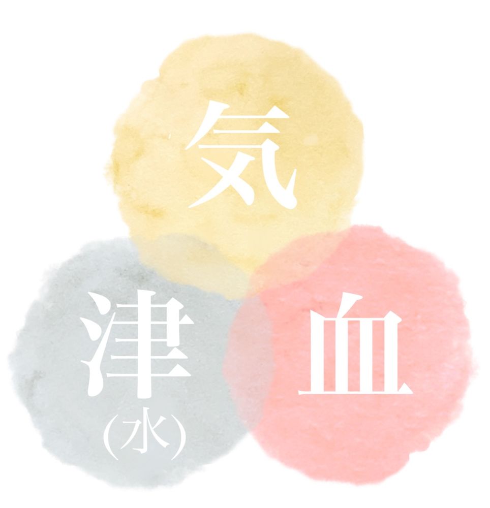 氣・血・津(しん)の図